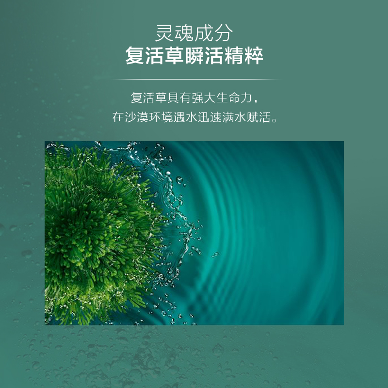 阿芙红动专卖店阿芙复活草修护透润精华水面部补水保湿精华液女紧致修护毛孔正品2