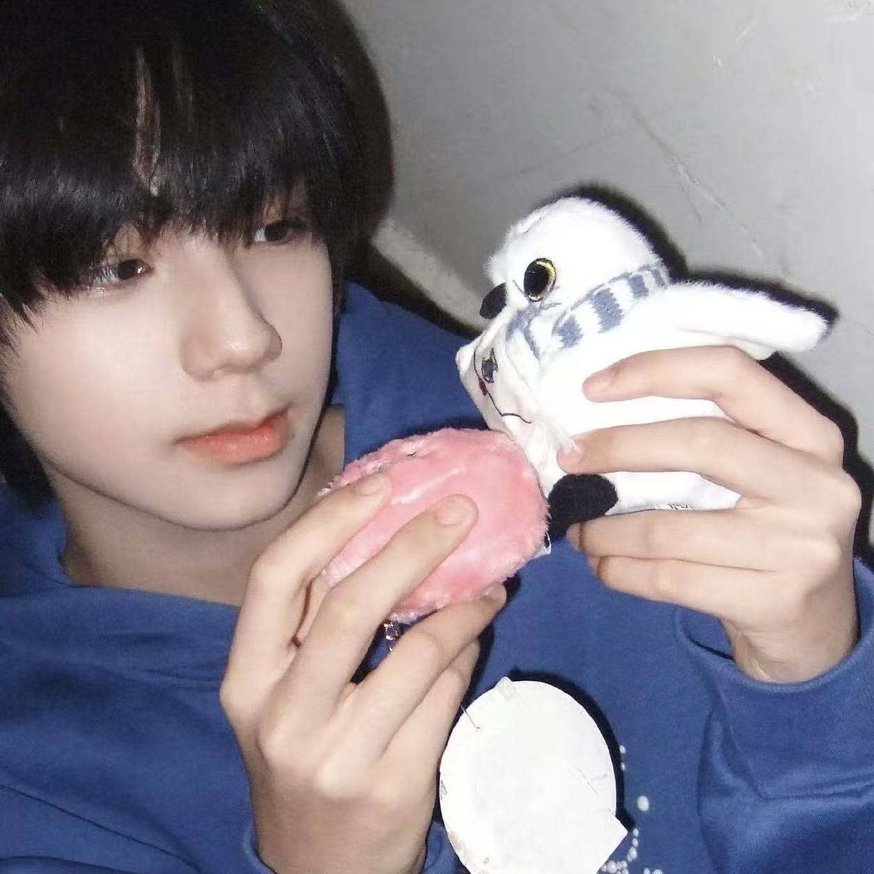 仅娃衣】王橹杰同款围巾海德薇站肩公仔可爱毛绒玩偶猫头鹰同款,淘宝优惠券,粉丝福利购,淘宝优惠卷