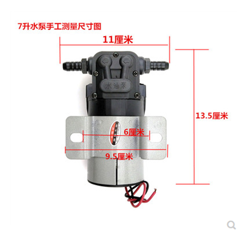 汽车货车淋水12V24V电动抽水泵汽淋水器配件自吸泵滴水刹车水油泵 - 图0