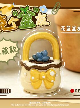 网红治愈系浇个盆友盲盒卡通萌趣多肉盆栽潮玩手办家居书桌装饰品
