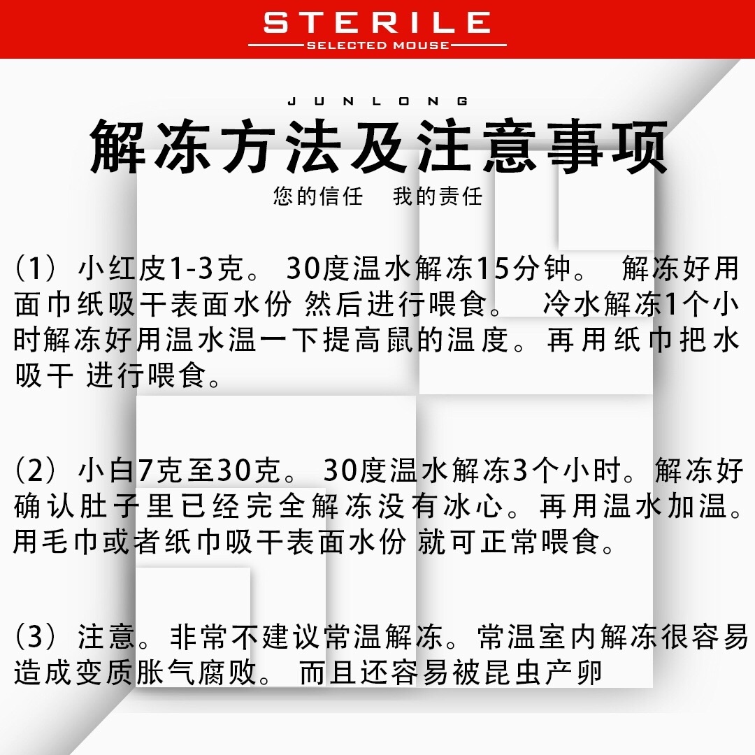 包邮冷冻小白乳鼠宠物蛇饲料喂猫龟龙鱼冰冻红皮粉霜包邮跳亚爬虫 - 图1