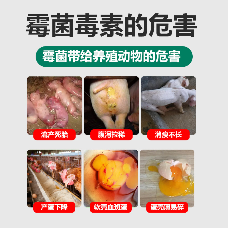 兽用生物脱霉剂孕畜专用正品玉米鸡脱霉净饲料添加剂降解霉菌毒素 - 图1