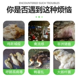 Звери одиночная переигрываемая калиевая водородная сельфат композитная соль дезинфекция розовая свиная свиная банда дезинфекция агента фермы