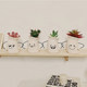 Simulated succulent tabletop potted plant living room decoration ornaments