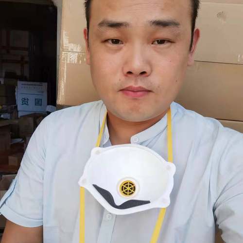 川小李9008V头戴式专业防尘口罩口罩防雾霾防打磨电焊防工业粉尘 - 图3