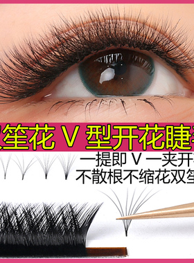 v型柔软浓密睫毛鸢尾花混合