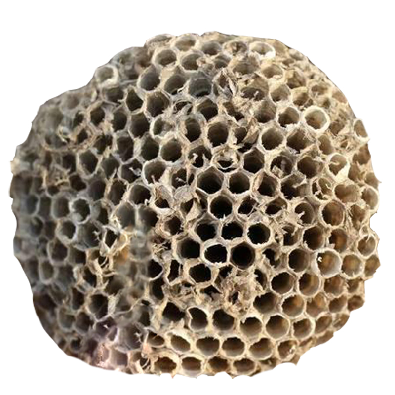 天然野生地蜂窝蜂巢蜂房马蜂黄蜂虎头蜂巢蜜蜂巢250克牙疼 - 图3