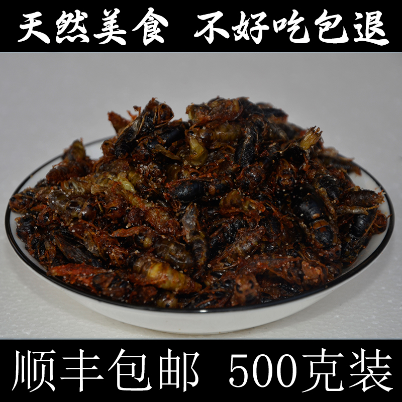 四级成蜂蜂蛹新鲜野生干油炸即食冷冻马蜂蛹虎头蜂500克-图2