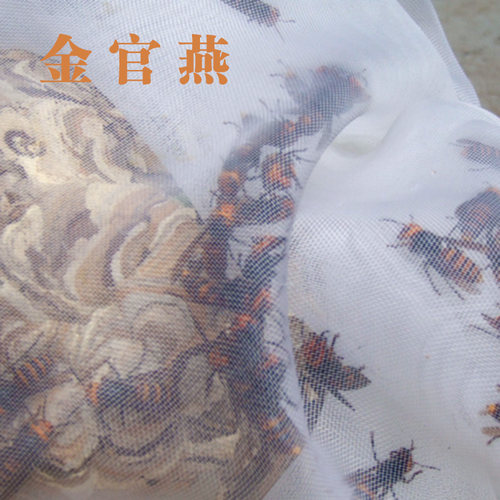 金环虎头蜂地活泡雷蜂散装大黄蜂马蜂红娘蜂新鲜干品蜂蛹110只 - 图2