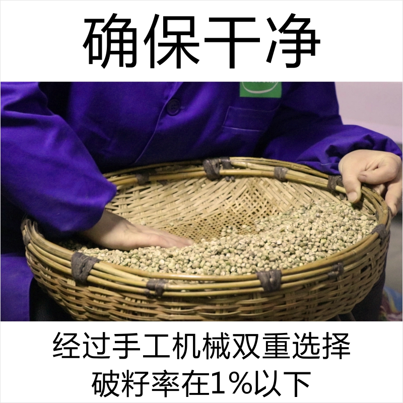 甘肃天水特产麻子大粒.现炒 五香 熟麻籽人吃食用零食炒货 - 图1