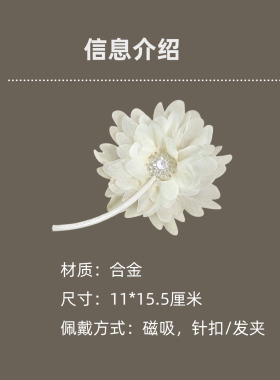 温柔风花朵胸针女发饰胸针两用