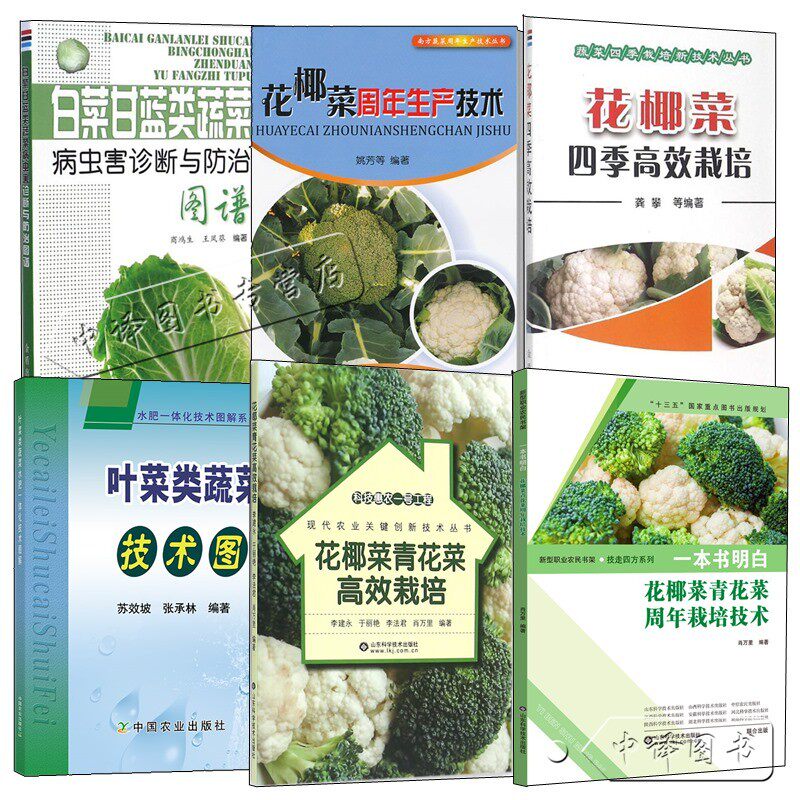 紫色花菜 新人首单立减十元 21年7月 淘宝海外