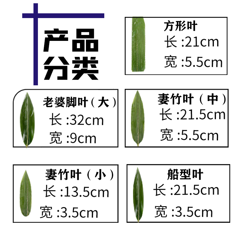 粽叶新鲜竹叶子100片真空寿司料理刺身烤肉摆盘装饰小粽子叶新叶-图1