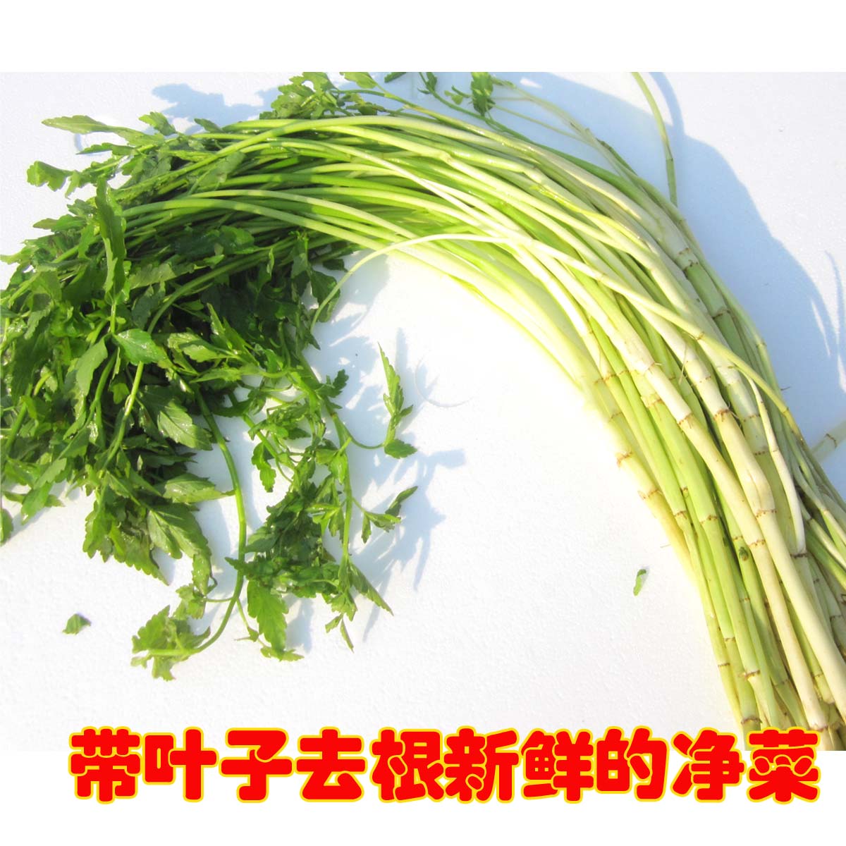 下市了下市了苏北新鲜蔬菜1500克(净菜)小叶野水芹菜芽农家自种-图1