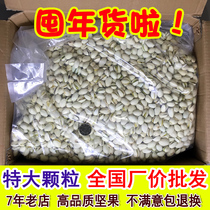 Tianhong Original Taste Large Grain Pistachio Bulk Weighing No Bleached Pregnant Woman Nuts 500g Snack Whole Box