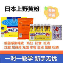 Japan Yellow Powder Upper Wild Germicidal Tropical Fish Gold Fish Rotten Fin White Dot Parrot Brocade Carp Medicine