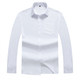 Men's Plus Size Business Casual Long Sleeve Shirt