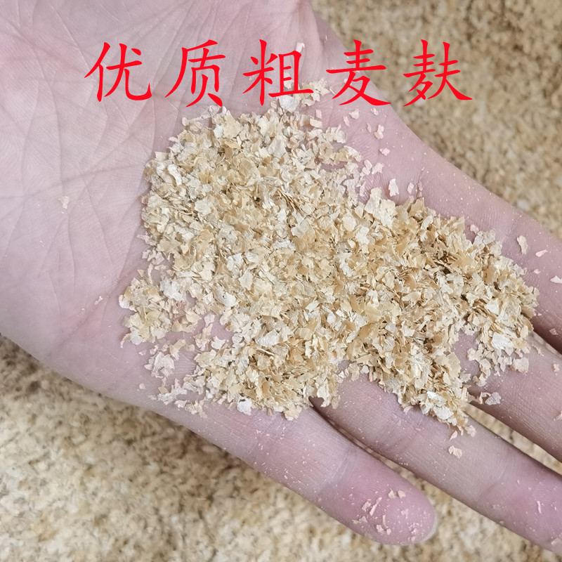 新鲜次粉纯小麦麸皮鸡鸭鹅黄粉虫面包虫粗细饲料原料钓鱼打窝饵料 - 图1