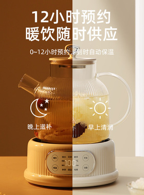 美规110v美国日本玻璃养生壶多功能家用烧水壶办公室花茶壶煮茶炉