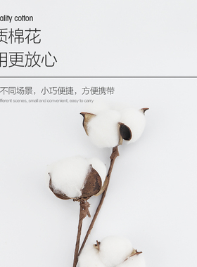 纹绣1000支一次性眼线尖头棉签