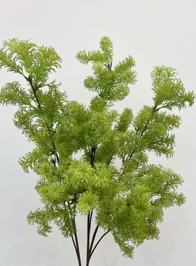 花饰界网红仿真蓬莱松绿植胖松金钱草毛绒草 婚庆装饰假花花艺造