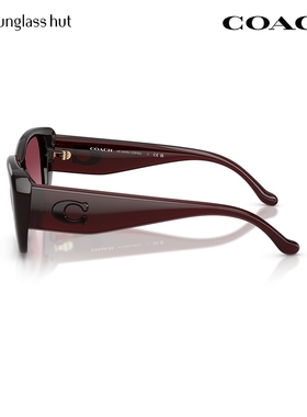 COACH/蔻驰【2025秋冬新品】太阳镜女渐变色墨镜方形眼镜0HC8435U