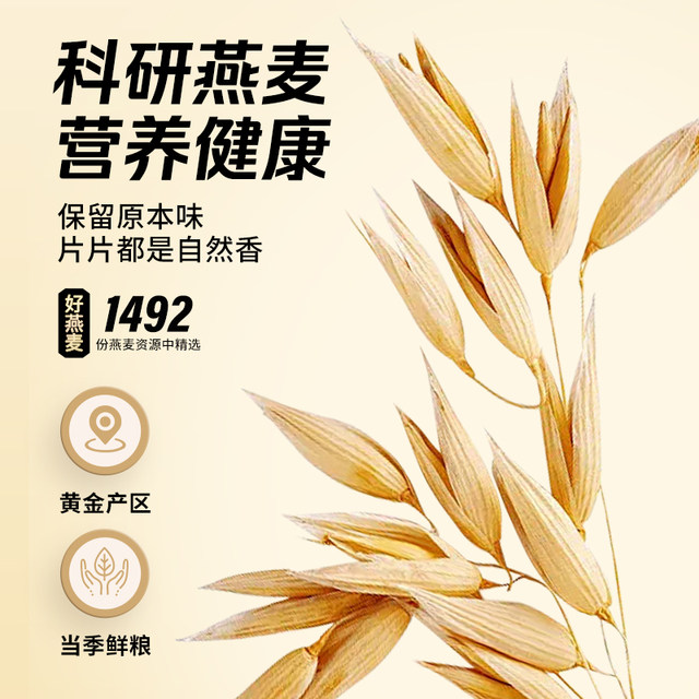 Shizhuang pure oatmeal large pack affordable