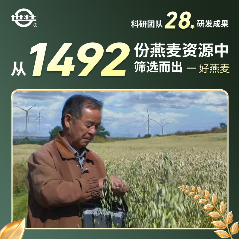 中国农科院纯燕麦片高膳食纤维早餐即食方便营养热冲麦片试喝装