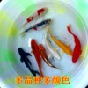 Ornamental fish, goldfish, small freshwater and live-resistant cold water fish