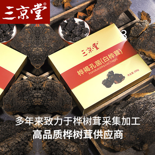 三京堂桦树茸白桦茸桦褐孔菌黑金颗粒整块长白山切块桦树茸 - 图3