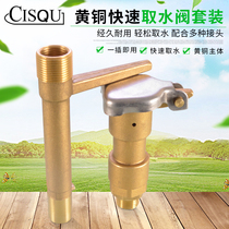 Landscaped Lawn Brass Fetcher Quick Water Intake Valve Insert Rod Green Water Pipe Ground Joint Sprinkler Bolt 4 points 6
