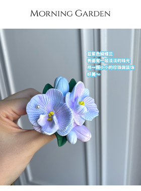 人鱼姬色蓝紫色蝴蝶兰出风口装饰