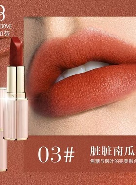 色彩加芬轻纱抚唇柔雾口红小众新款化妆高级复古红色