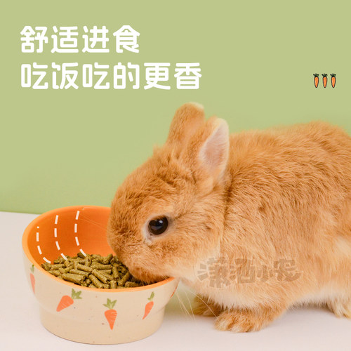 宠物胡萝卜陶瓷食盆兔子龙猫豚鼠荷兰猪猫咪狗草架食盆陶瓷碗卡通 - 图0