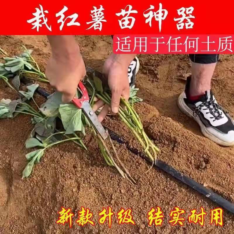 栽红薯苗神器插秧栽苗器农用工具移栽器栽地瓜种烟薯紫薯辣椒机械 - 图2