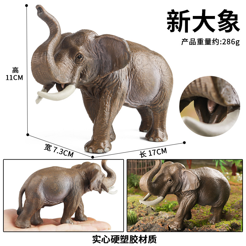 儿童仿真认知动物园实心大象模型公亚洲象新大象家居摆件 - 图2