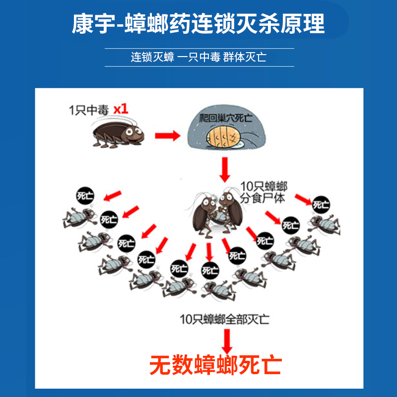 康宇蟑螂药一窝大小灭杀端除蟑螂家用非无毒室内厨房杀虫剂胶饵粉 - 图3