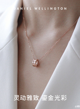 项链dw表白送礼纯色项链