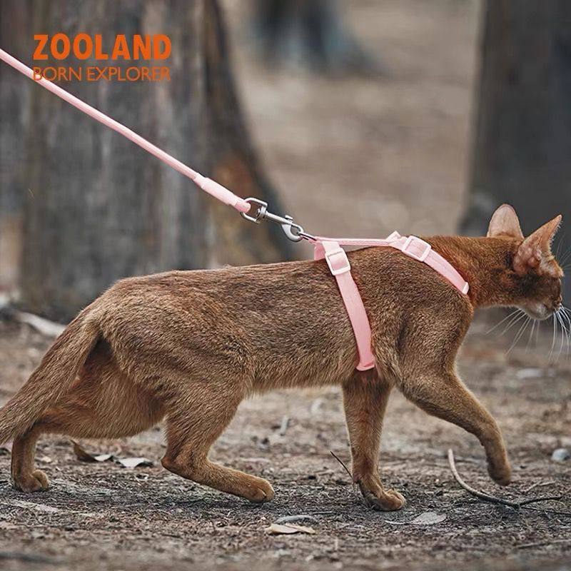 ZOOLAND猫咪通用胸背牵引绳防挣脱遛猫绳子小猫可调节工字型胸背,淘宝优惠券,粉丝福利购,淘宝优惠卷