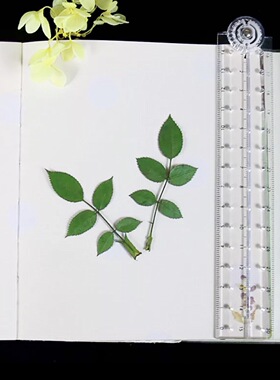 玫瑰干花植物标本diy手工制作