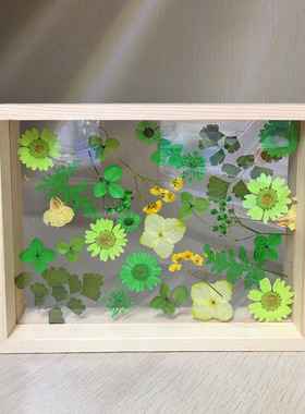 相框 植物标本diy透明双面玻璃画框桌面摆件实木干花树叶夹照片框