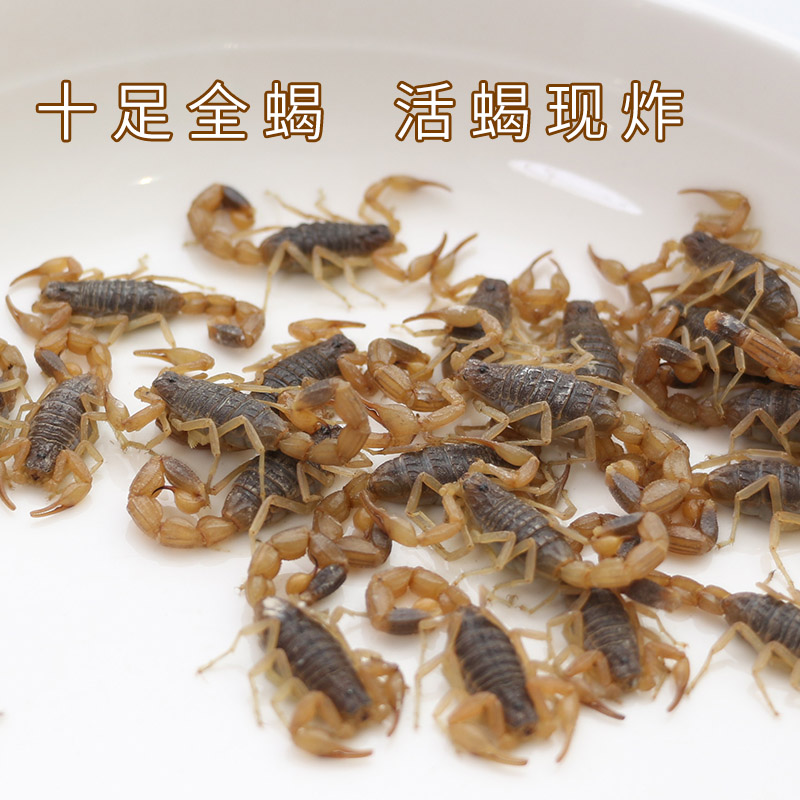 顺丰包邮100只油炸蝎子活体蝎子现炸现发3种口味开袋即食独立包装