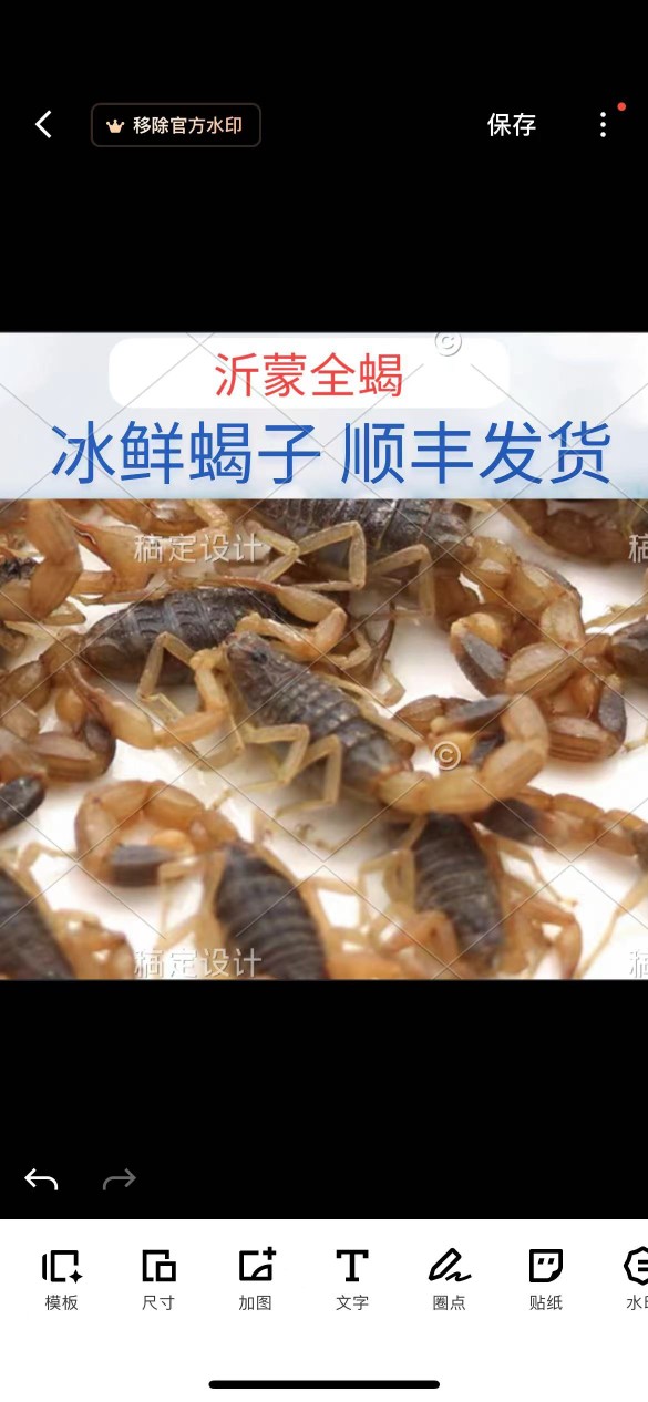 蝎子新鲜活冷冻食用高蛋白不煮无盐生油炸泡酒煲汤包邮顺丰-图0