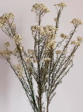 花器软展柜厅艺轻奢组合样