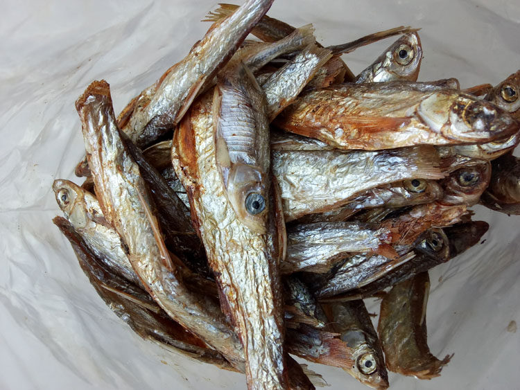 淡水小鱼干猫粮猫咪零食磨牙肉条鱼干天然猫粮鱼干龟粮食品干鱼,淘宝优惠券,粉丝福利购,淘宝优惠卷