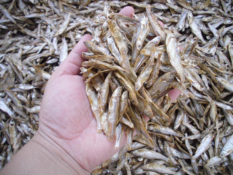 淡水小鱼干猫粮猫咪零食磨牙肉条鱼干天然猫粮鱼干龟粮食品干鱼,淘宝优惠券,粉丝福利购,淘宝优惠卷