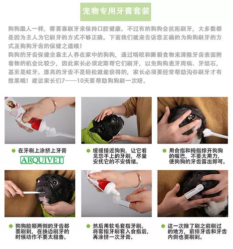 Зубная паста, лечебный оральный гигиенический набор зубных щеток, мятная свежая клубника, домашний питомец