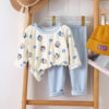 Baby autumn clothes and autumn trousers set spring and autumn new pajamas