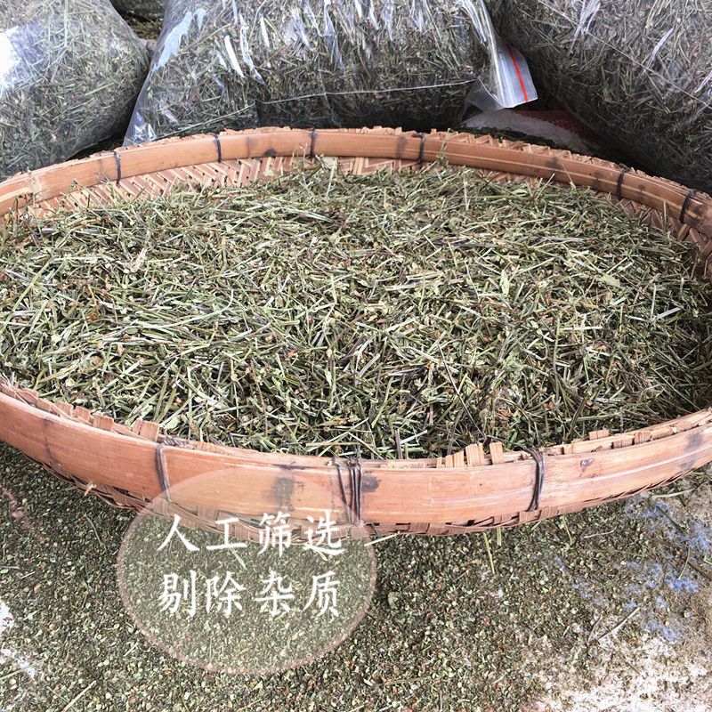 野生半枝莲半枝连当季新货干中药材精选500g另售白花蛇舌草铁树叶 - 图2