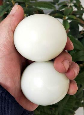 手球和田玉实心手球把件